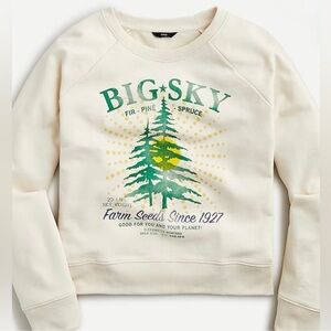 J. Crew Big Sky Sweatshirt
